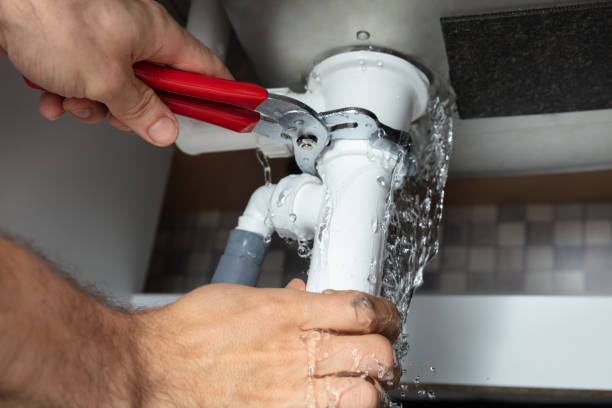 Best Flooded house restoration  in Montz, LA