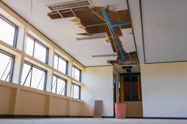 Best Flood damage cleanup  in Montz, LA
