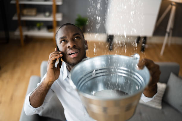 Best 24-hour water damage restoration  in Montz, LA