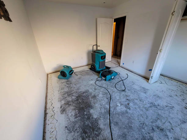 Best Flood damage cleanup  in Montz, LA