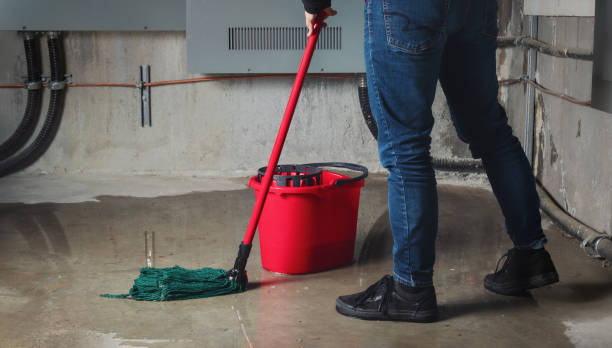 Best Water damage restoration near me  in Montz, LA
