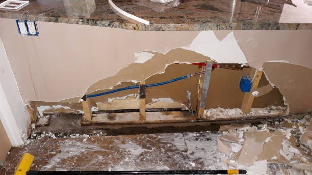Best Mold removal after water damage  in Montz, LA