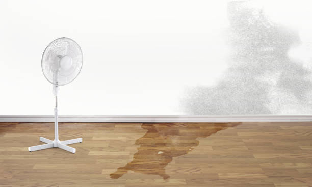 Best Water damage restoration company  in Montz, LA
