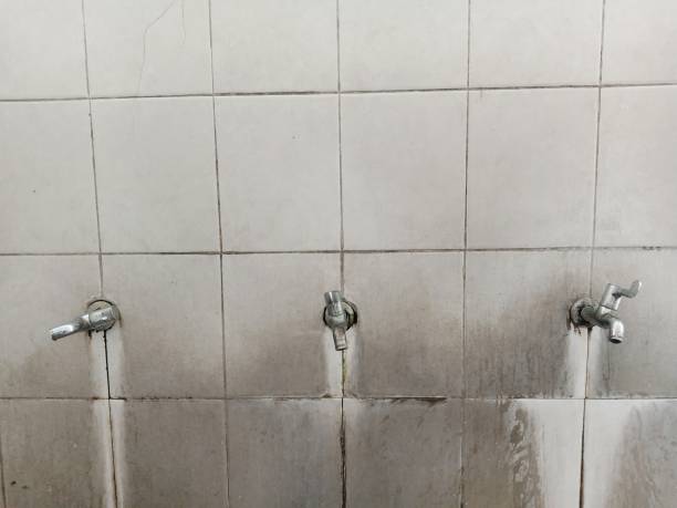 Best Flood restoration services  in Montz, LA