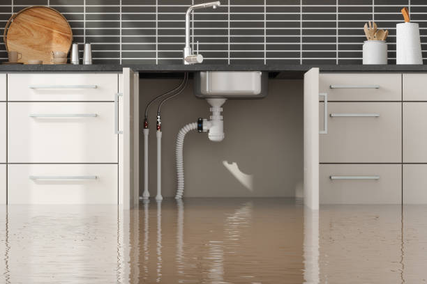 Best 24-hour water damage restoration  in Montz, LA
