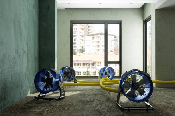 Best Water damage restoration experts  in Montz, LA